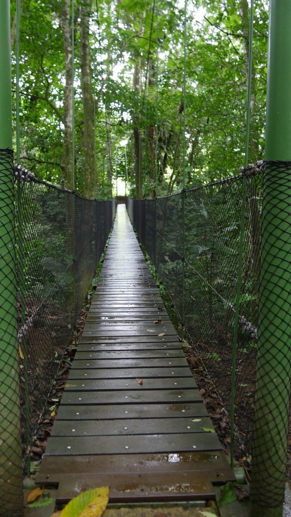 A Hanging Bridge in Costa Rica