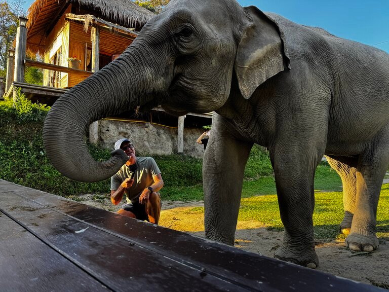 Elephant sanctuary moment — respectful distance, natural setting.