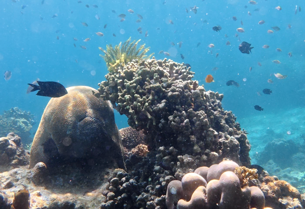 Explore Koh Kood's Underwater Wonders at nearby Koh Raet Island
