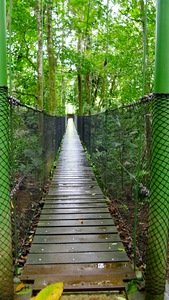 Visit Mistico Arenal Hanging Bridges for vertiginous views of Arenal Volcano on your Costa Rica Self-Guided Tour