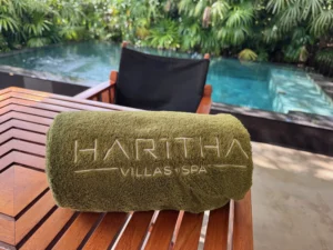 Haritha Villas + Spa provide 7 contemporary villas each with their own private plunge pool