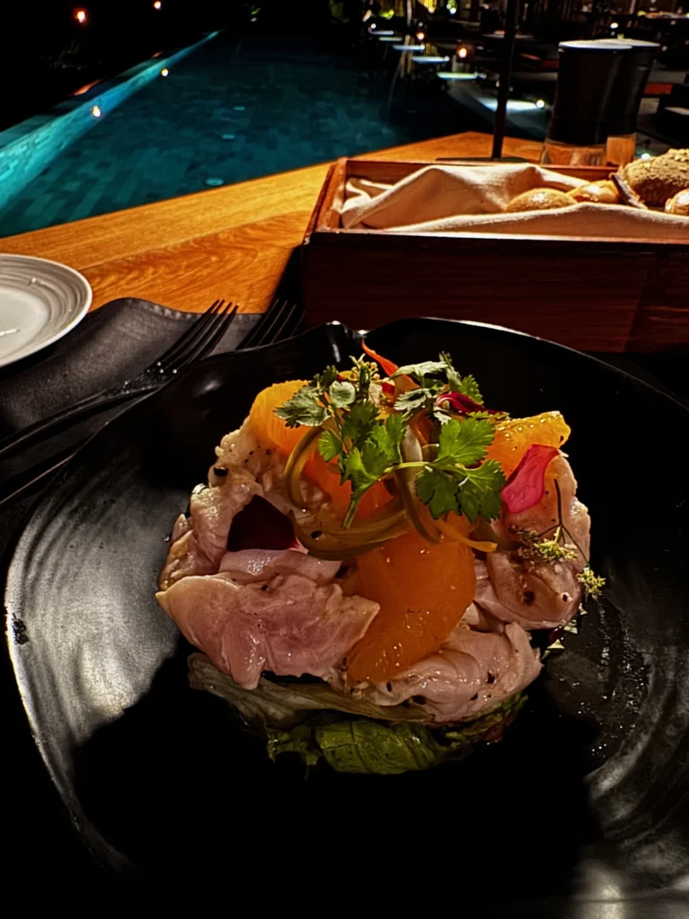 Haritha Villas + Spa provides exquisite food including this Tuna Appetiser for Dinner