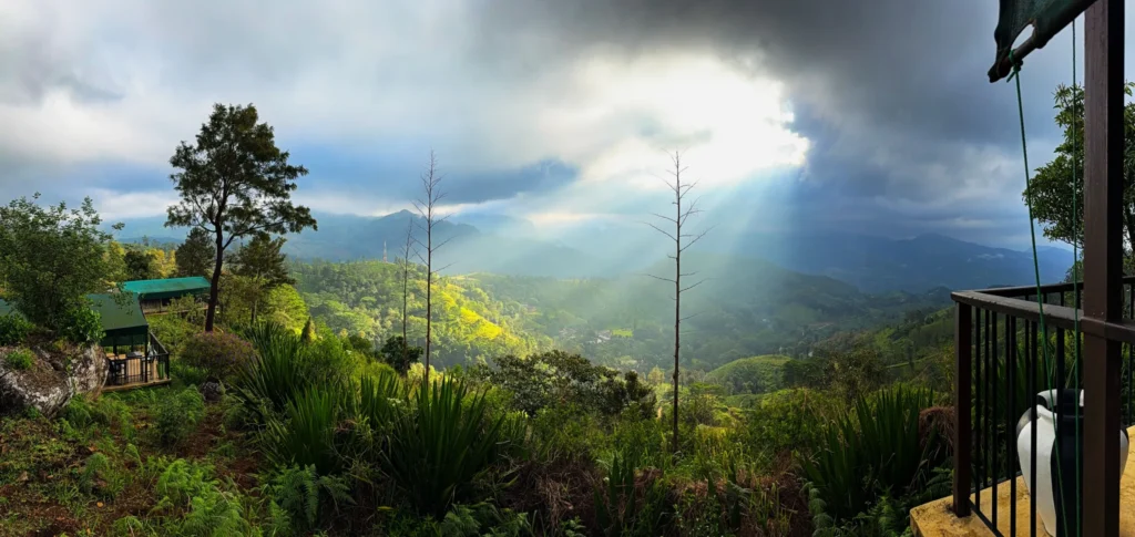 You need a Private Driver to get to Madulkelle Tea Eco Lodge in Sri Lanka
