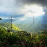 You need a Private Driver to get to Madulkelle Tea Eco Lodge while on a Sri Lanka Travel Documentary Adventure