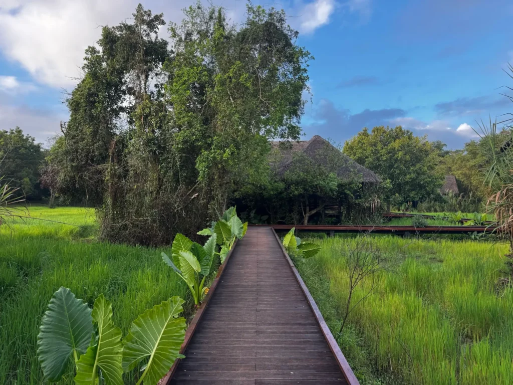 Jetwing Vil Uyana Sigiriya Paddy Villa
