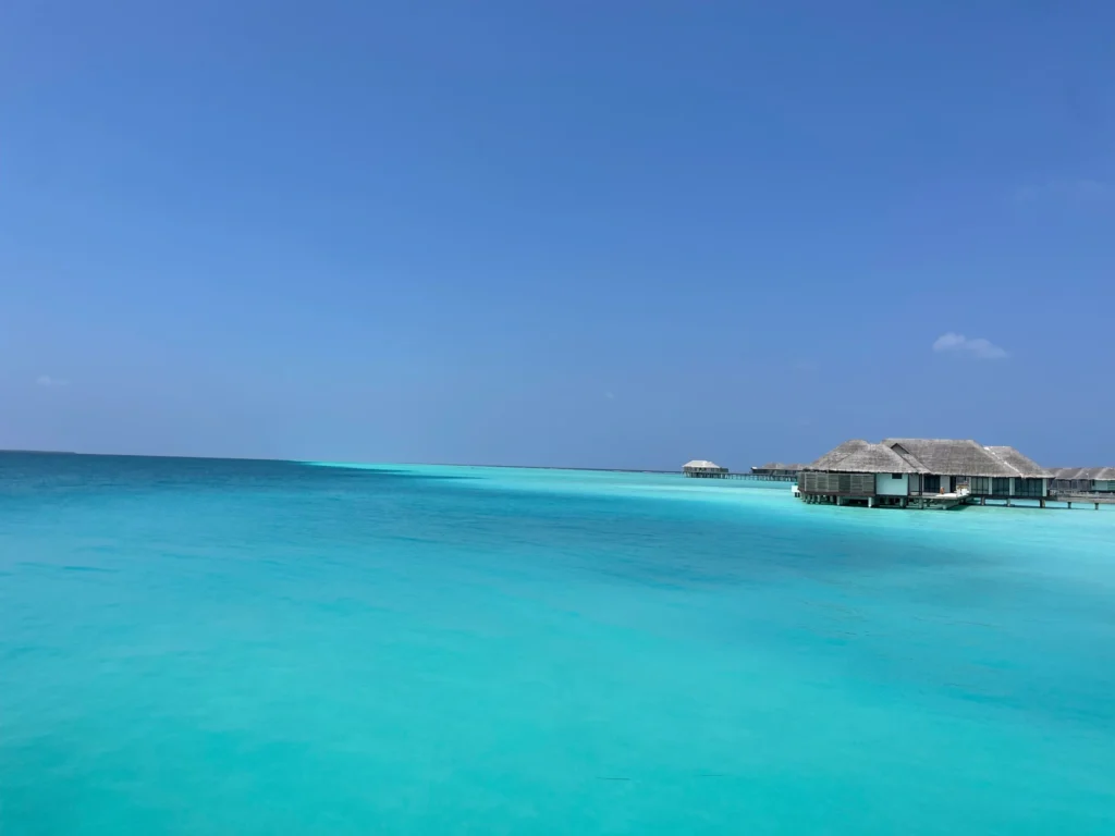 Water So Blue at Niva Velassaru Maldives